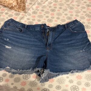 American Eagle Outfitters Distressed Blue Jean Shorts